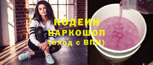 ECSTASY Инсар