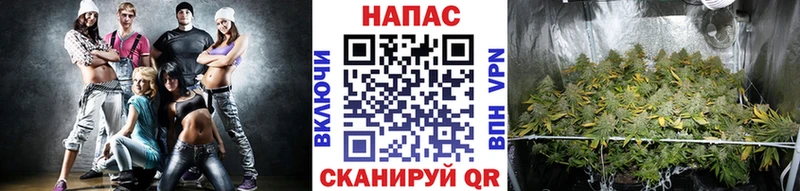 Бошки Шишки семена  Купить  Суоярви 